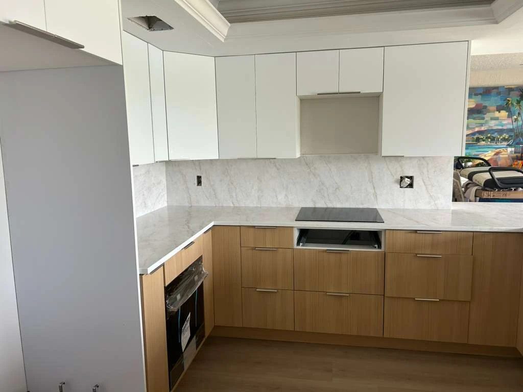 Kitchen Remodeling Project 2